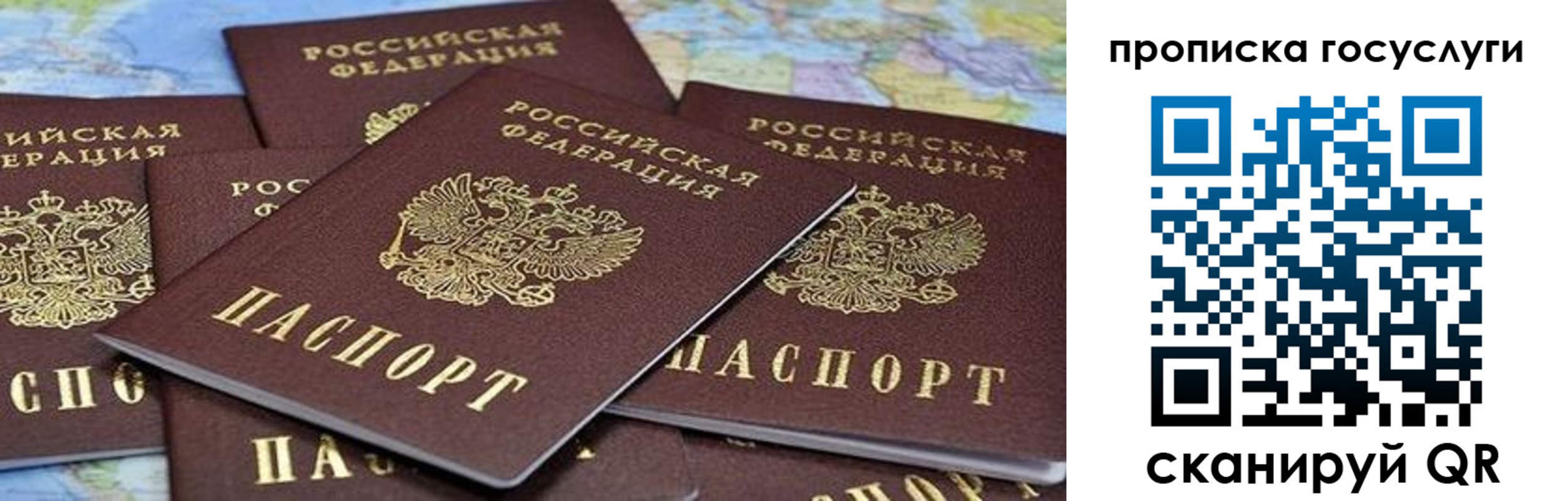 пропишу в квартире в Вышнем Волочке